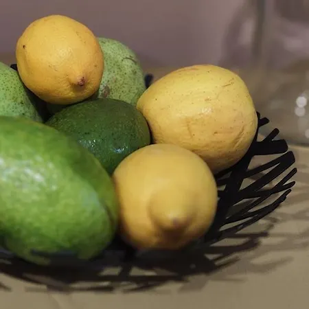 Apartment Buda's Hidden Heaven 1 With Private Sauna *